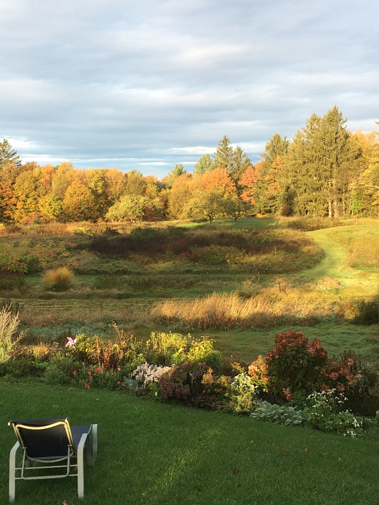 A view of lounge chair looking out on autumn trees in the distance beyond a faded fall garden ad green grass . 