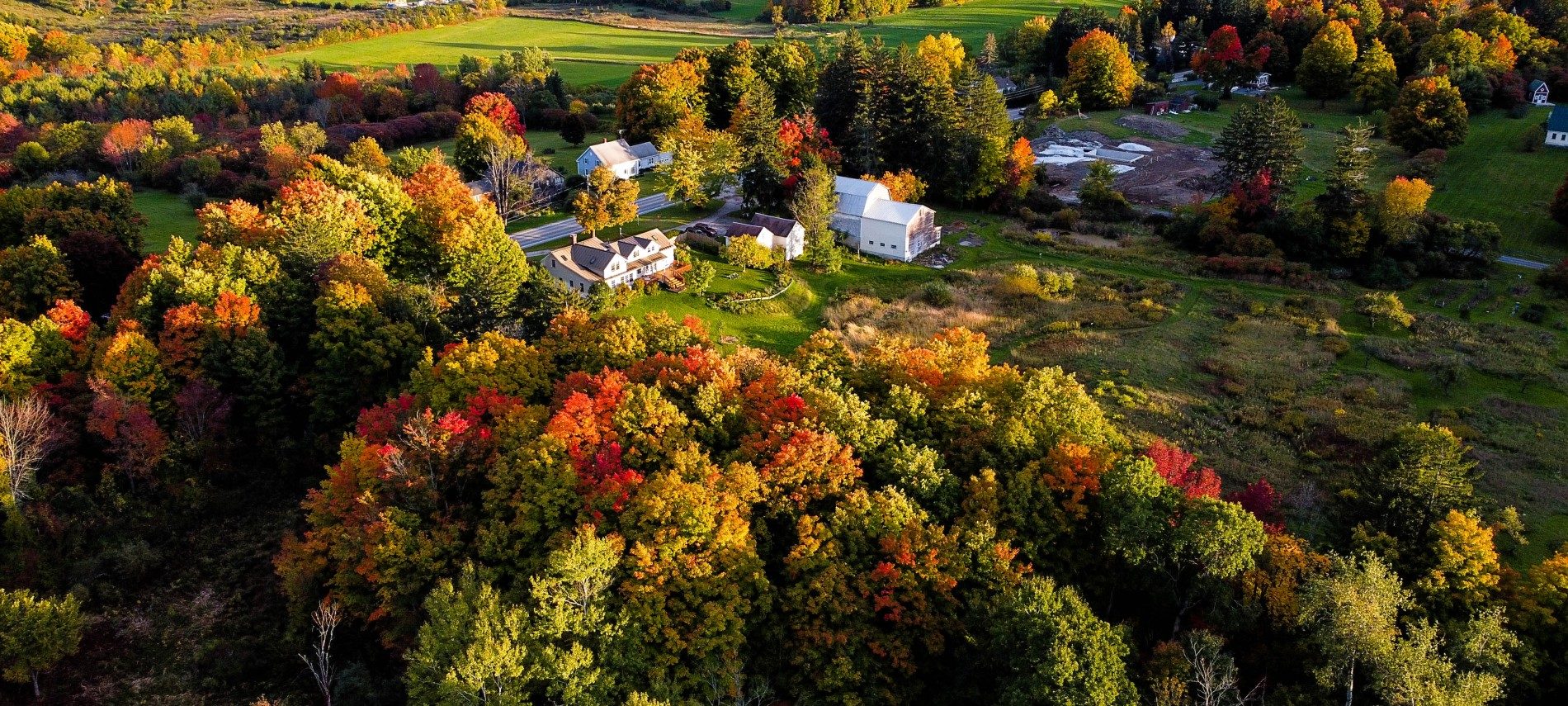 A bird'seye view fromoverhead of a colorful fall landscape, trees, and some white farm buildings and paths.